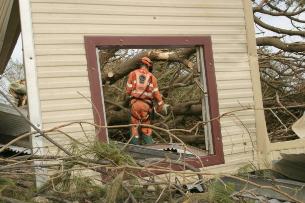 Best Root Management and Removal  in Hildebran, NC